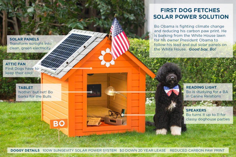 Bo Obama solar doghouse infographic